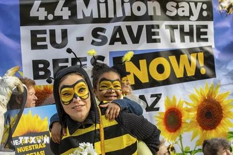 EU quyết định cấm sử dụng các loại thuốc trừ sâu gây hại cho loài ong. (Nguồn: The Guardian)