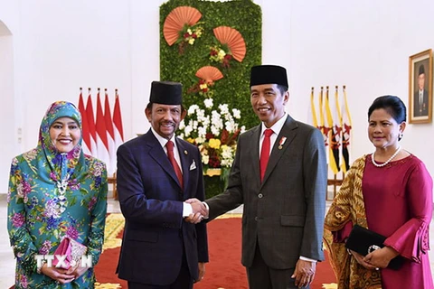 Indonesia và Brunei thúc đẩy hợp tác trên nhiều lĩnh vực. (Nguồn: Fakta News)