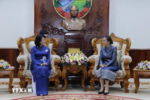 Phó Chủ tịch nước Đặng Thị Ngọc Thịnh hội kiến Chủ tịch Quốc hội Lào Pany Yathotou. (Nguồn: Phạm Kiên/TTXVN)