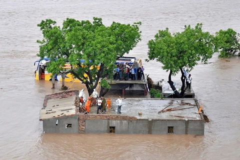 Lũ lụt tại bang Gujarat, Ấn Độ năm 2015. (Nguồn: Mongabay)