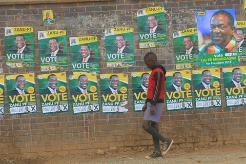 Zimbabwe bước vào cuộc bầu cử lịch sử. (Nguồn: World Politics Review)