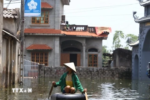 Tình hình ngập lụt tại huyện Chương Mỹ, Hà Nội. (Nguồn: Vietnam+)