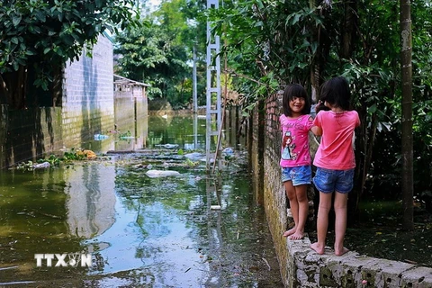 Những đứa trẻ ở Thôn Nam Hài-xã Nam Phương Tiến mỗi ngày vẫn vô tư vui đùa trên những kênh nước đường làng bẩn và đầy rác thải. (Ảnh: Trọng Đạt/TTXVN)
