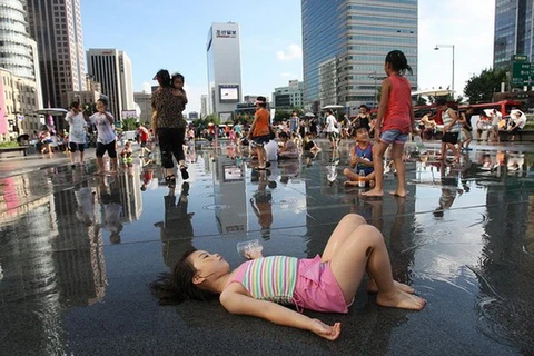 Hàn Quốc trải qua đợt nắng nóng khắc nghiệt nhất trong lịch sử. (Nguồn: WSJ)