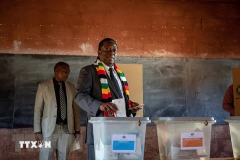 Tổng thống Zimbabwe bỏ phiếu tại điểm bầu cử ở Kwekwe ngày 30/7. (Nguồn: EFE-EPA/TTXVN)