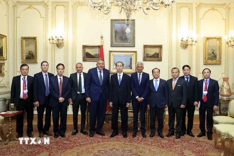 Chủ tịch nước Trần Đại Quang chụp ảnh chung với Chủ tịch Phòng Thương mại và Công nghiệp Ai Cập Ahmed M. El-Wakil (thứ 5, từ trái sang) và các đại biểu. (Nguồn: Nhan Sáng/TTXVN)