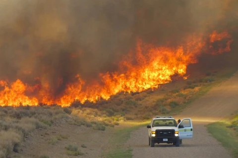 Bang Utah sơ tán bắt buộc hơn 5.000 dân vì cháy rừng. (Nguồn: University of Utah)