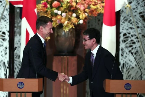 Ngoại trưởng Nhật Bản Taro Kono (phải) và người đồng cấp Anh Jeremy Hunt. (Nguồn: Mirror)