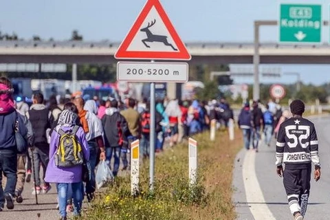 Đan Mạch sẽ không tiếp nhận bất kỳ người tị nạn nào theo khuôn khổ hệ thống hạn ngạch của Liên hợp quốc (LHQ) trong năm nay. (Nguồn: InfoMigrants)