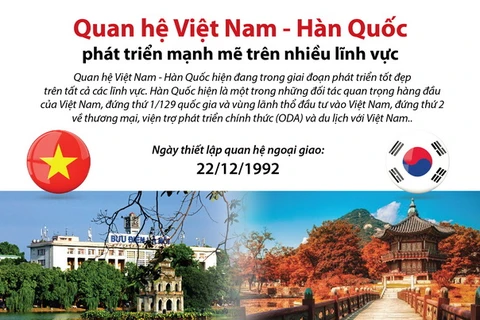 Quan hệ Việt Nam-Hàn Quốc phát triển mạnh mẽ. (Nguồn: TTXVN)
