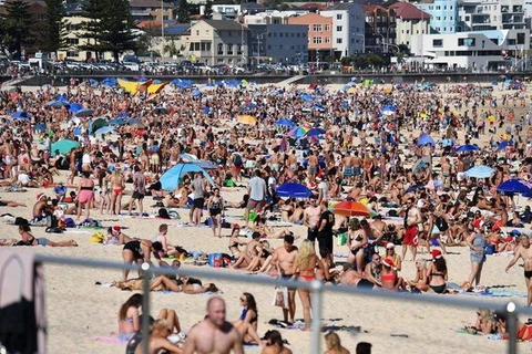 Nắng nóng bất thường tại Australia. (Nguồn: Newcastle Herald)