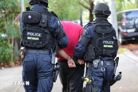 Cảnh sát New South Wales bắt giữ nghi phạm trong chiến dịch chống khủng bố ở Sydney, Australia. (Nguồn: AFP/ TTXVN)