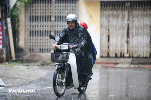 Do ảnh hưởng của không khí lạnh, nhiều nơi ở Bắc Bộ sẽ có mưa. (Ảnh: Minh Sơn/Vietnam+)