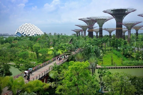 Quảng cảnh Garden by the Bay ở Singapore. (Nguồn: Eco-Business.com)