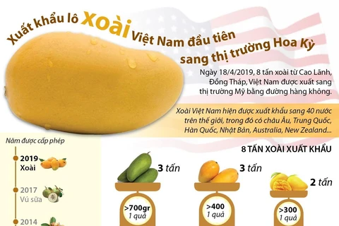 Xuất khẩu lô xoài Việt Nam đầu tiên sang thị trường Mỹ. (Nguồn: TTXVN)