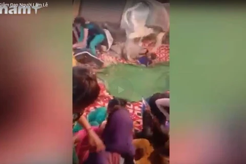 Bò thần nổi điên giẫm đạp người làm lễ ở Ấn Độ. (Nguồn: Newsflare)