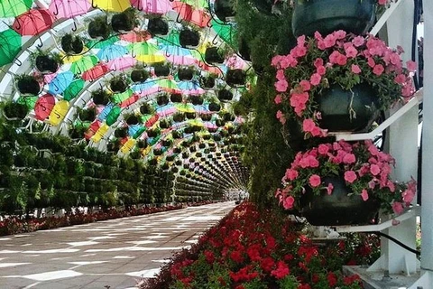 Thủ đô Doha của Qatar phủ đầy sắc hoa các công trình công cộng. (Nguồn: Deskgram)