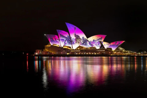 Lễ hội ánh sáng Vivid Sydney 2019. (Nguồn: Newswire)