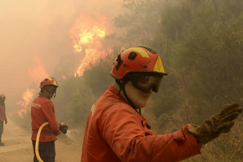 Lính cứu hỏa Bồ Đào Nha đang chiến đấu với "giặc lửa." (Nguồn: Freiros)
