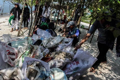 Người dân Indonesia dọn rác thải ở biển. (Nguồn: AFP)