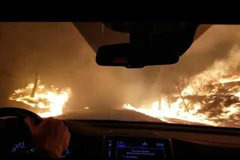 Cháy rừng nhìn từ trong xe ôtô. (Nguồn: Mediaite)