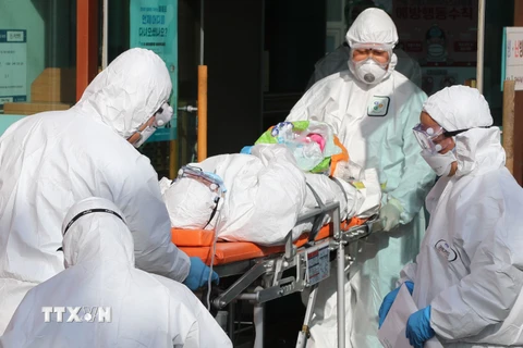 Nhân viên y tế chuyển bệnh nhân nhiễm COVID-19 lên xe cứu thương tại thành phố Daegu, Hàn Quốc ngày 21/2/2020. (Ảnh: AFP/TTXVN)