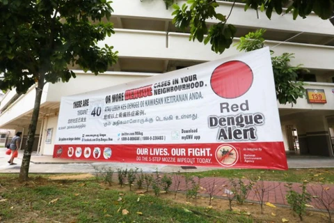 Áp phích nhắc nhở người dân về dịch sốt xuất huyết tại Singapore. (Ảnh: The Straits Times)