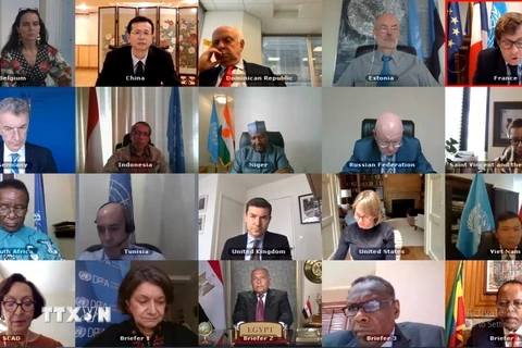 Phiên họp trực tuyến của Hội đồng Bảo an Liên hợp quốc. (Ảnh: TTXVN)