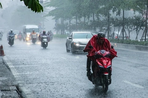 Ảnh minh họa. (Nguồn: Vietnam+)