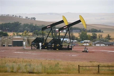 Các máy bơm dầu ở giếng dầu gần Williston, Bắc Dakota (Mỹ). (Ảnh: AFP/TTXVN)