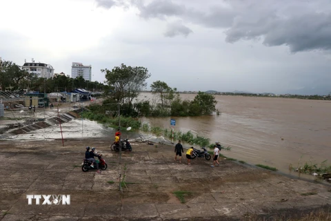 Nước dâng cao ở sông Trà Khúc, đoạn qua thành phố Quảng Ngãi. (Ảnh: Sỹ Thắng/TTXVN)