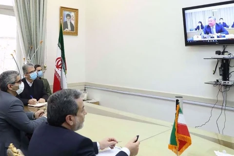 Phái đoàn Iran trong cuộc họp trực tuyến. (Ảnh: PressTV)