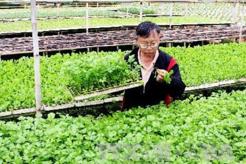 Canada hỗ trợ 7,6 triệu USD nâng sức cạnh tranh nông sản Việt