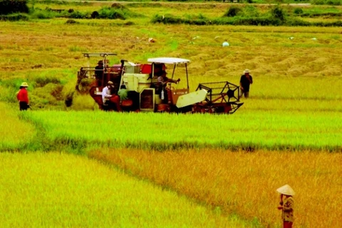 VietinBank-“bà đỡ” tín dụng cho khu vực nông nghiệp, nông thôn