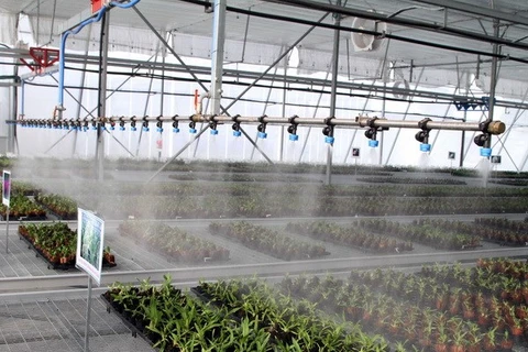 VietinBank phục vụ Dự án “Cải thiện nông nghiệp có tưới” 