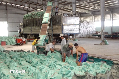 HDBank cung ứng nguồn vốn phát triển vùng sản xuất lúa gạo 