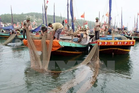 Tàu đánh bắt xa bờ. (Ảnh minh họa: Huy Hùng/TTXVN)