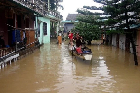 Nhiều nhà dân bị ngập do bão số 12. (Ảnh: Trịnh Bang Nhiệm/TTXVN)