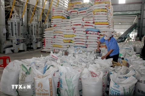 Chế biến gạo xuất khẩu tại Xí nghiệp Chế biến lương thực cao cấp Tân Túc, huyện Bình Chánh. (Ảnh: Đình Huệ/TTXVN)