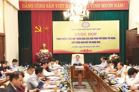 Các đại biểu tại cuộc họp. (Ảnh: T.H/Vietnam+)