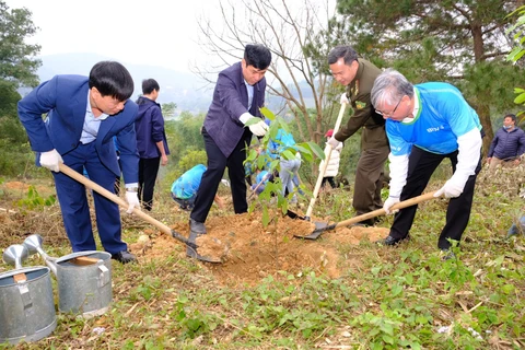 BIDV khởi động chương trình trồng ‘1 triệu cây xanh’ tại Vườn Quốc gia Ba Vì. (Ảnh: Vietnam+)