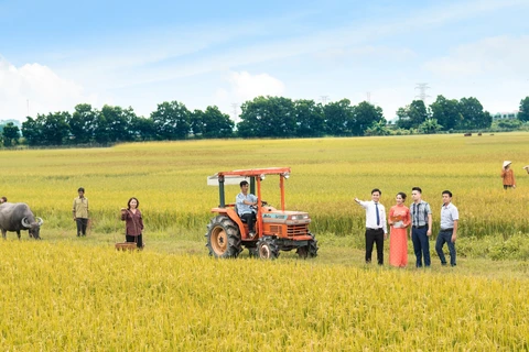 LienVietPostBak ưu tiên cho vay nông nghiệp. (Ảnh: Vietnam+)