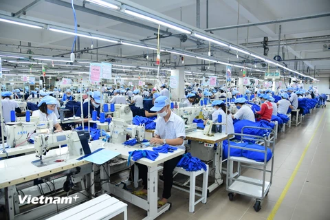 Các doanh nghiệp tăng tốc sản xuất nhằm đảm bảo các đơn hàng mới, phục hồi sản xuất. (Ảnh: Vietnam+)