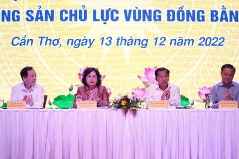 Các đại biểu tại hội nghị. (Ảnh: CTV/Vietnam+)