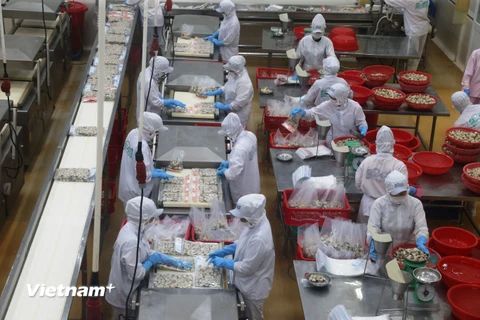 Agribank triển khai chương trình tín dụng 3.000 tỷ đồng đối với lĩnh vực lâm, thủy sản. (Ảnh: PV/Vietnam+)