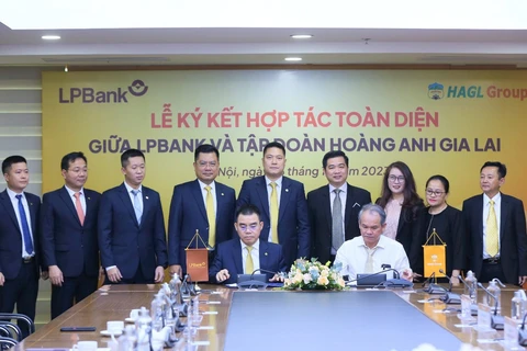 Ông Hồ Nam Tiến - Phó Chủ tịch HĐQT - Tổng Giám đốc LPBank (bên trái) và ông Đoàn Nguyên Đức - Chủ tịch HĐQT HAGL Group (bên phải) thực hiện ký kết hợp tác. (Ảnh: PV/Vietnam+)