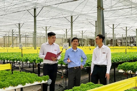 Lần thứ 7 liên tiếp từ đầu năm 2023 đến nay, Agribank điều chỉnh giảm lãi suất cho vay, hỗ trợ trực tiếp các đối tượng khách hàng. (Ảnh: PV/Vietnam+)