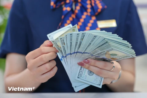 Tỷ giá tại các ngân hàng thương mại tăng chạm trần, lên 25.300 đồng. (Ảnh: Vietnam+)