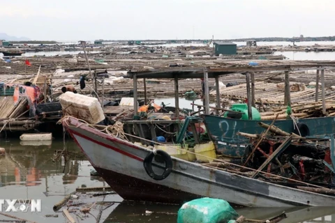 Người nộp thuế cũng được miễn tiền chậm nộp trong trường hợp bất khả kháng. (Ảnh: TTXVN)