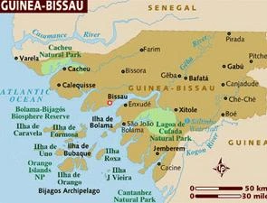 VN kêu gọi củng cố hòa bình ở Guinea Bissau